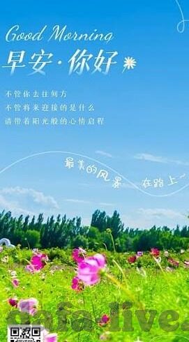 雪园足球比分-探秘雪园足球比分，数据背后的热血与梦想