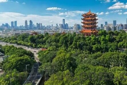 足球比分 即时比分-足球比分与即时比分，绿茵战场上的数字脉搏