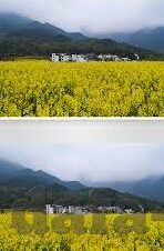 足球怎么预测比分-足球比分预测秘籍，科学方法与实战经验大揭秘